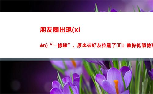 朋友圈出現(xiàn)“一條線”，原來被好友拉黑了！教你低調檢查好友狀態(tài)(朋友圈出現(xiàn)一條杠)